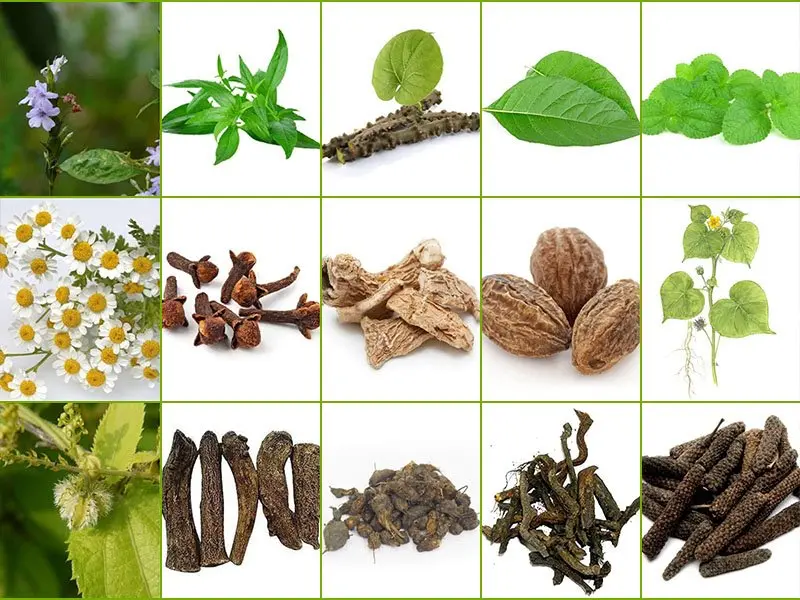 கபசுரக் குடிநீர்