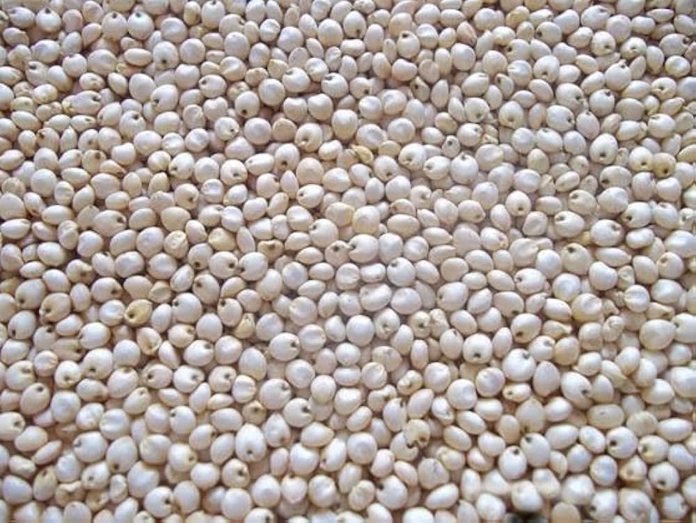 சோளம் அரிசி